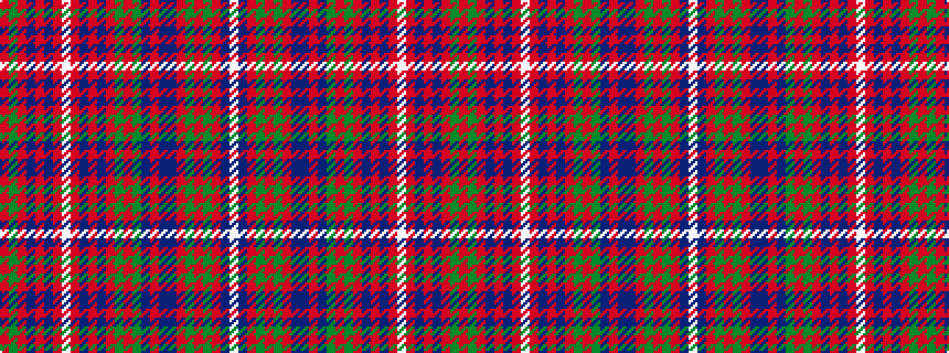 idealised woven sample of pattern RGRBRBRWRBRBRGRGBRBBRGRGRBW
