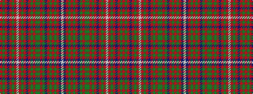 idealised woven sample of pattern RGRBRGRWRGRBRGRGGRGBRGRGRBW