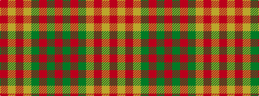 idealised woven sample of pattern RGRGYRYR