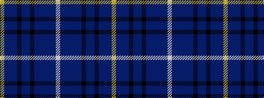 idealised woven sample of pattern WBBBBBKBBKBBBY