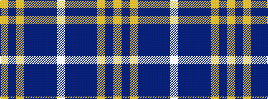 idealised woven sample of pattern WBBBBYBY