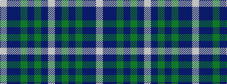 idealised woven sample of pattern WBBGBGBW