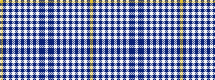 idealised woven sample of pattern WBBWBWBWBWBWBWBY