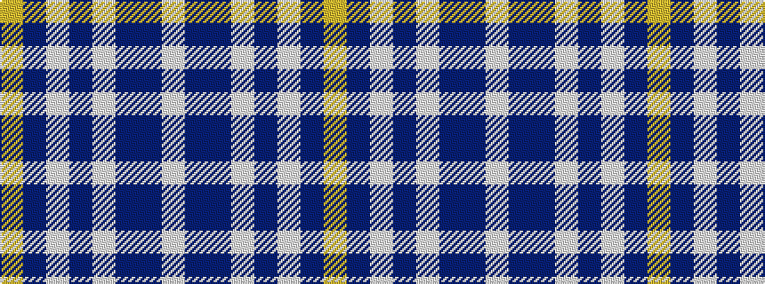 idealised woven sample of pattern WBBWBWBY