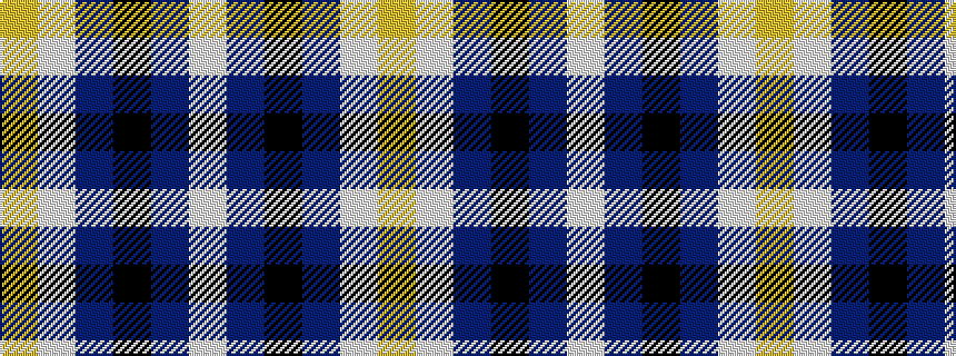 idealised woven sample of pattern WBKBWY