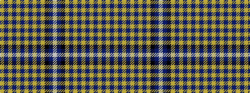 idealised woven sample of pattern WBKYBYBYBYBYBY