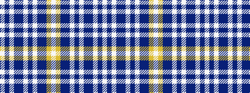 idealised woven sample of pattern WBWBBWBWBBYW