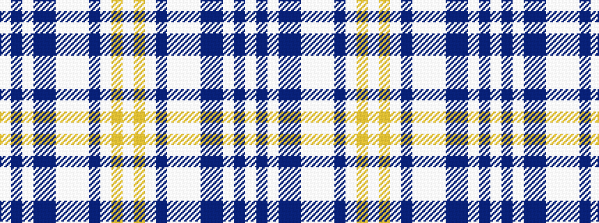 idealised woven sample of pattern WBWBBWWWBWYW