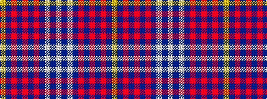 idealised woven sample of pattern WBWBRBRBRBY
