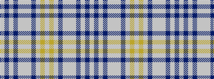 idealised woven sample of pattern WBWBWWWBWYW