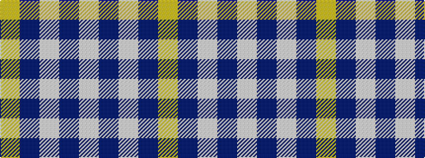 idealised woven sample of pattern WBWBY
