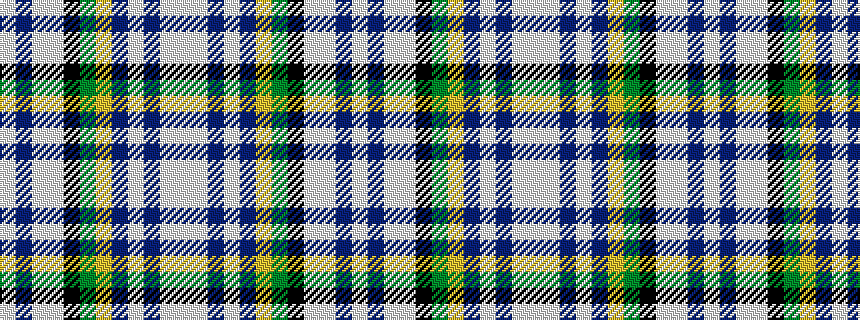 idealised woven sample of pattern WBWWKGYBWBWW