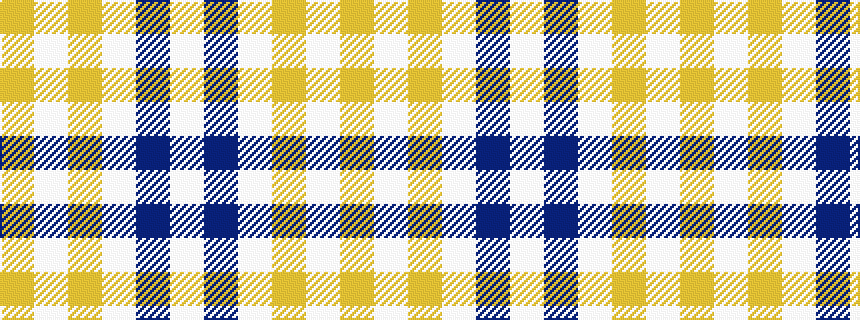 idealised woven sample of pattern WBWYWY