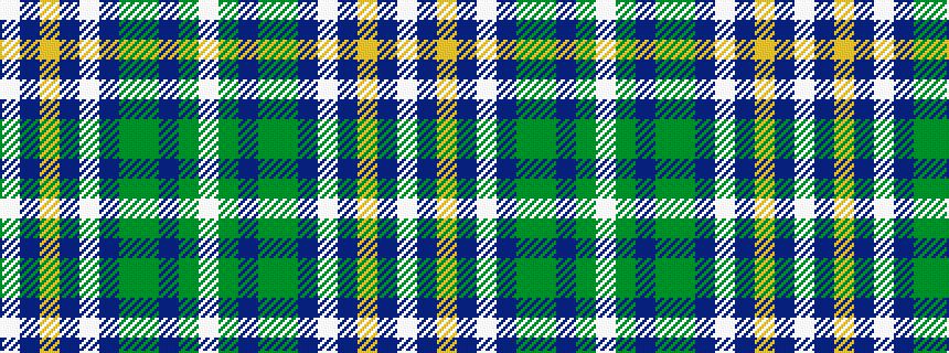 idealised woven sample of pattern WBYBWBGGBGW