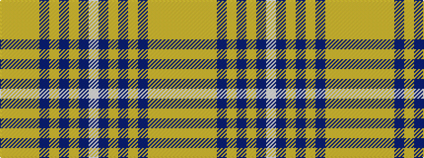 idealised woven sample of pattern WBYBYBYYYY