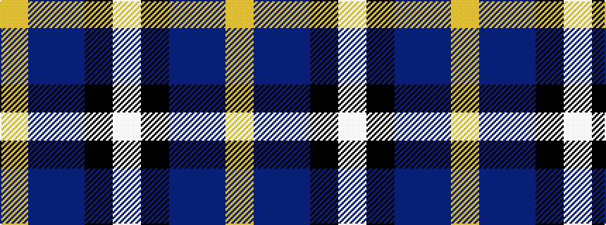idealised woven sample of pattern WKBBY
