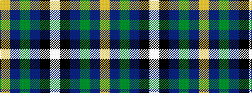 idealised woven sample of pattern WKBGBY