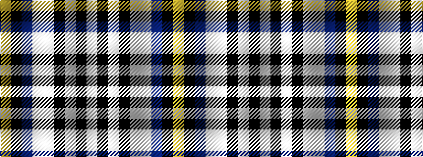 idealised woven sample of pattern WKWKWWBKY