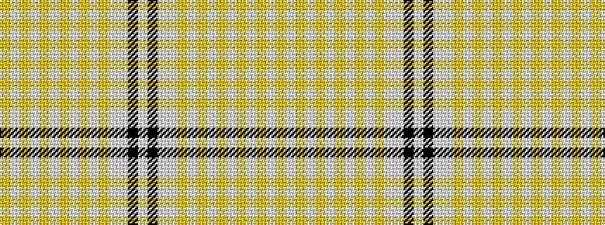 idealised woven sample of pattern WKWWYWYWYWYWYWY