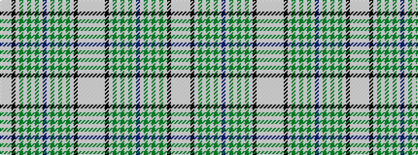 idealised woven sample of pattern WWWKWGWGWGWBWGWGWGWKWWWW