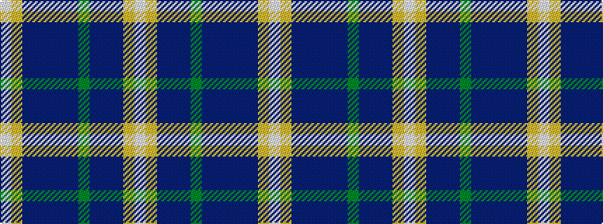 idealised woven sample of pattern WYBBBBBGBBBYW
