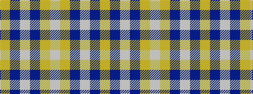 idealised woven sample of pattern WYBWBY