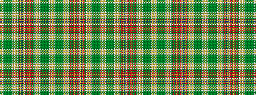 idealised woven sample of pattern WYWGGGGGGGWYWYWGRGRYRGRWYBYRGWYWYWGGGGGGGWYW