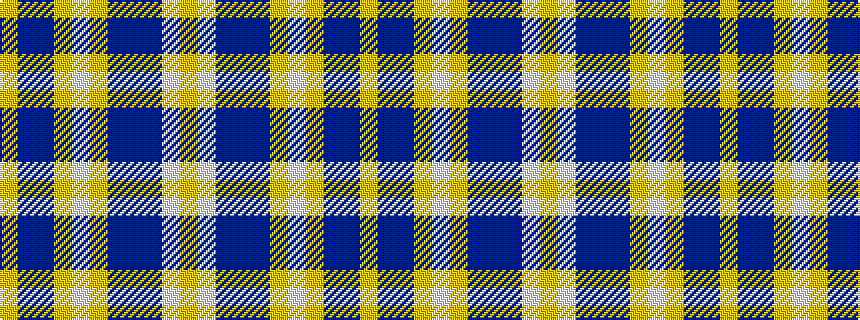 idealised woven sample of pattern YBBYWYBBBWY