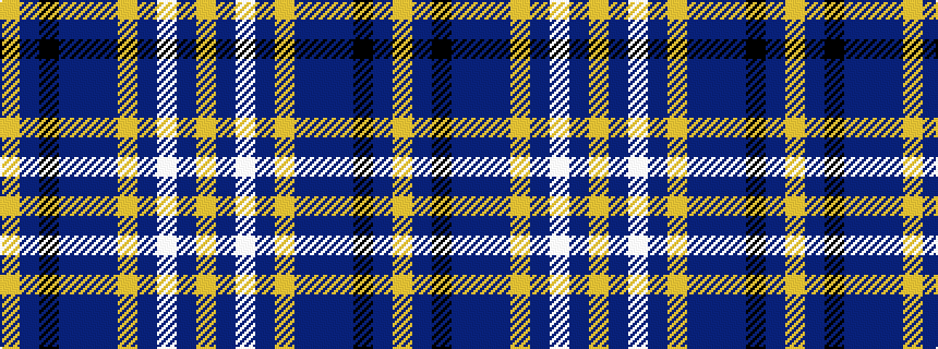 idealised woven sample of pattern YBKBBBYBWBY