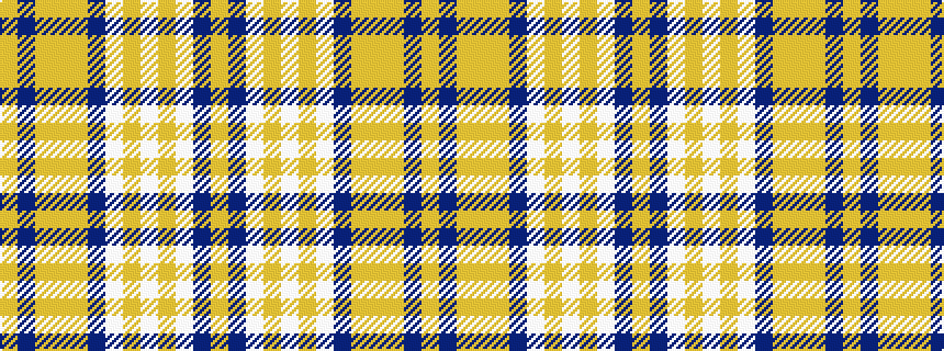 idealised woven sample of pattern YBWYWYWBYYYBY