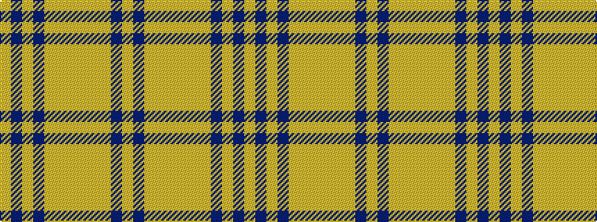 idealised woven sample of pattern YBYBYYYYYYBY