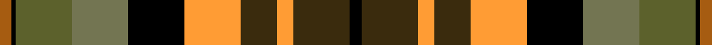 (Fashion) sett