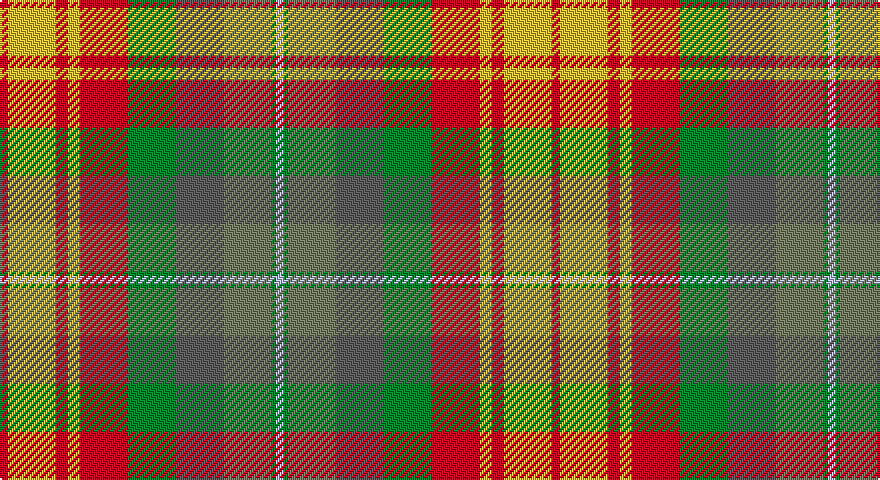 R/4 LY24 R6 LY6 R24 G24 N24 Y24 G2 LB/4 tartan