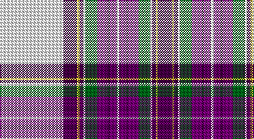 W/110 DP24 LY4 DP6 W4 DG20 DPi18 DP4 DPi12 W4 DPi12 DP4 DPi18 DG20 W4 DP6 LY4 DP/24 tartan