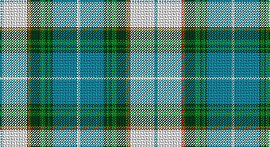 T/4 W40 R2 Y4 DG16 G8 DG4 G4 DG4 T40 W/4 tartan