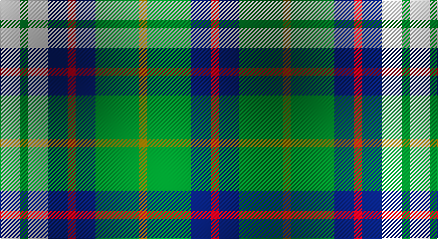 W/20 G8 W20 DB20 R8 DB20 G44 Y8 G44 DB20 R/8 tartan
