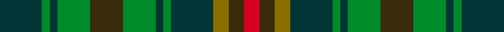 Niagara Falls sett