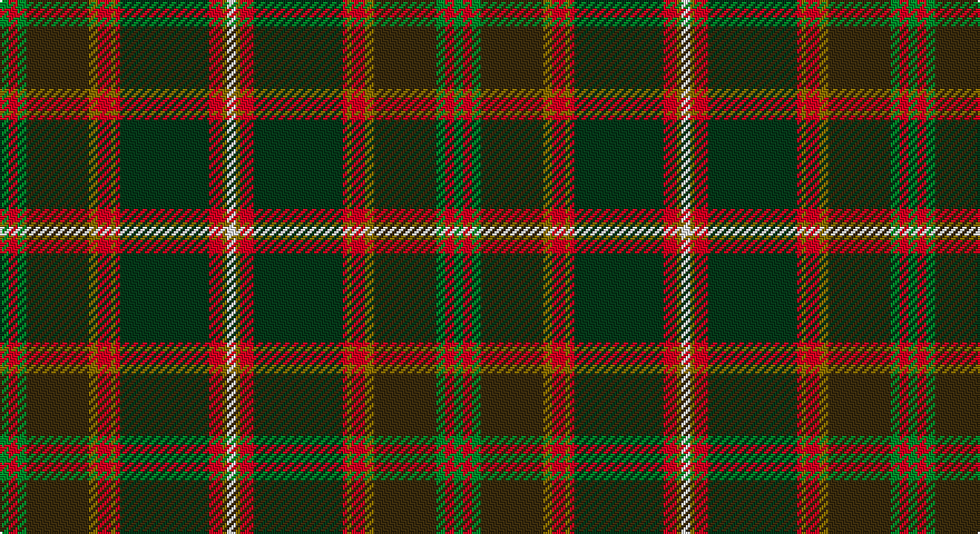 G/4 R4 G4 DY28 Y4 R6 Y2 R2 DG40 R6 Y2 W/4 tartan
