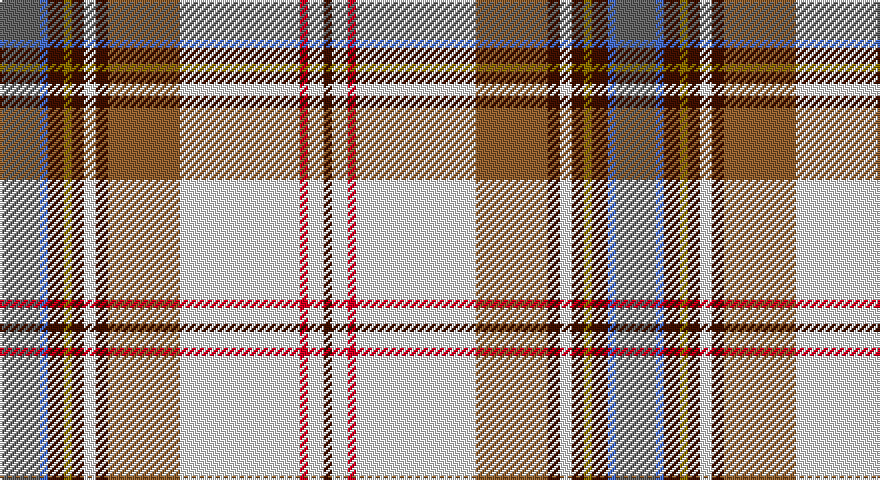 N/20 B4 DO8 Y4 DO6 W6 DO6 O36 W60 R4 W8 DO/4 tartan
