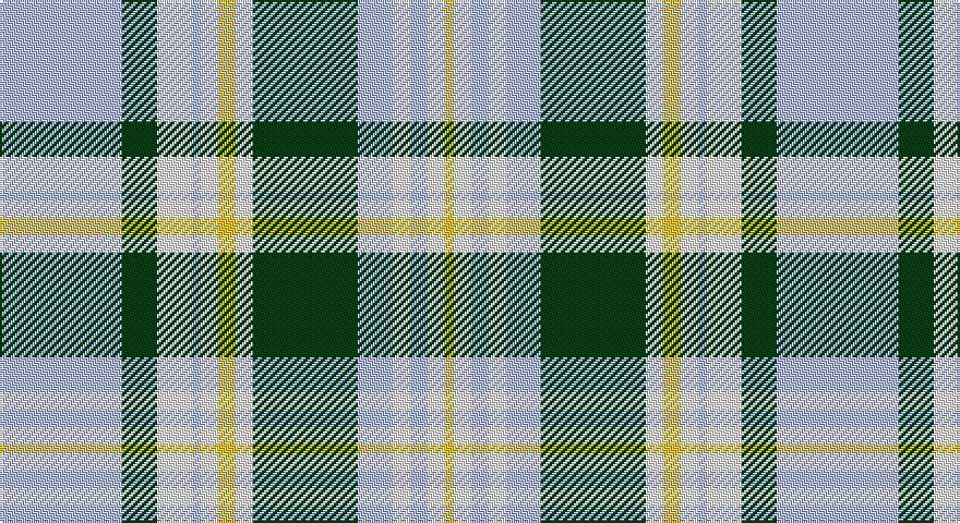 LB/56 DG16 W16 LB4 W8 LY8 W8 DG48 LB16 W8 LB8 W8 LY/4 tartan