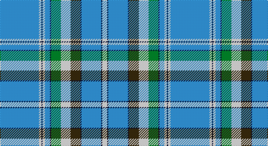 T/64 W4 DT2 W4 T8 DT2 G16 W16 DY16 DT2 T32 DT2 W/8 tartan