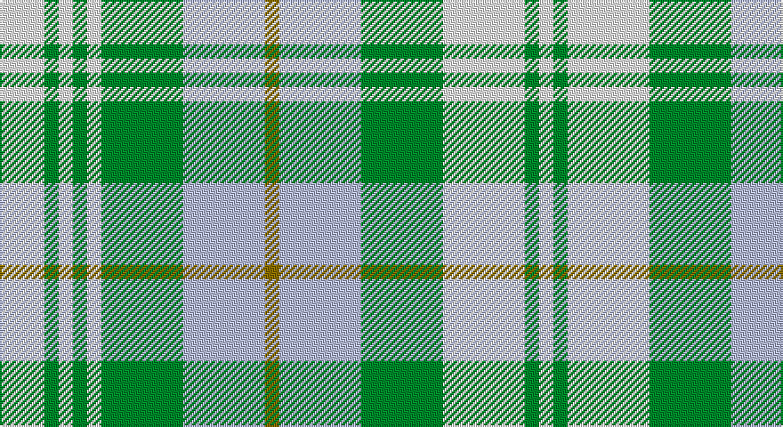 W/25 G8 W8 G8 W8 G46 LB46 Y8 LB46 G46 W46 G8 W/8 tartan