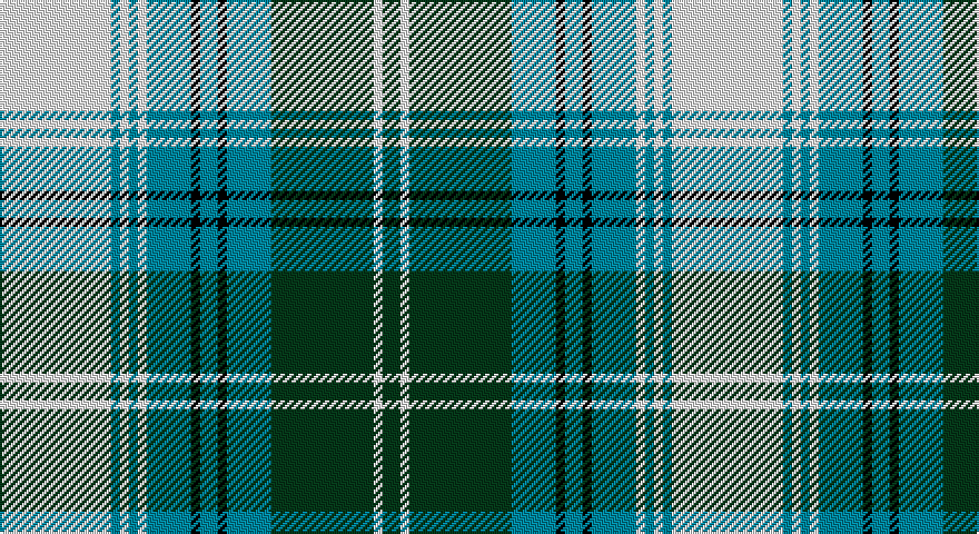 W/50 T4 W4 T4 W4 T20 K4 T8 K4 T20 DG46 W4 DG/8 tartan