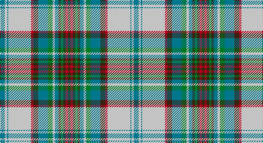 T/8 W4 T2 W38 R4 DO8 T16 G8 W4 T6 DY4 G4 DO4 R4 DY/4 tartan