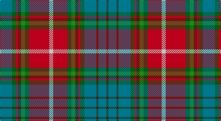 T/24 DG8 R4 DY6 G8 DG8 R40 W8 R28 DG8 G8 DY6 R4 DG8 T24 DY4 T16 DY/4 tartan