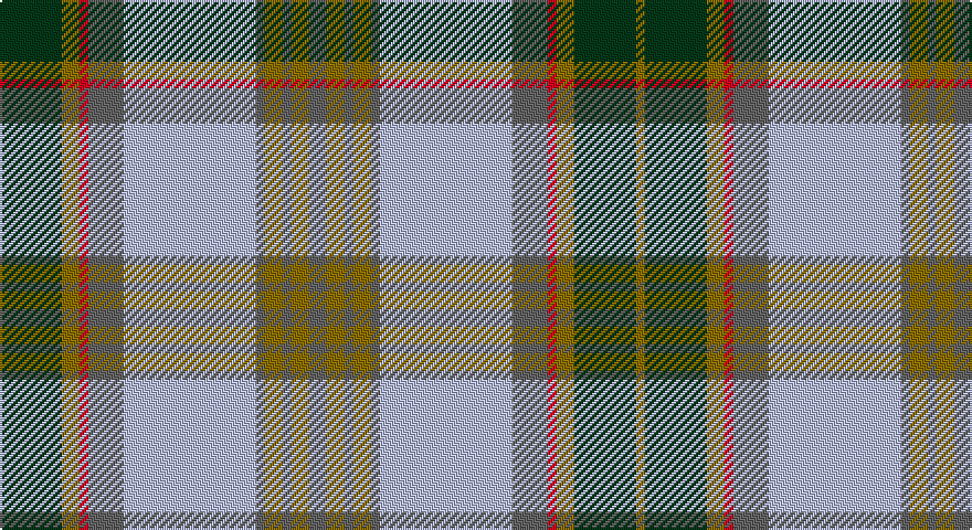 DG/28 Y8 R4 N16 LB60 N4 Y8 N4 Y8 N8 Y8 N4 Y8 N4 LB60 N16 R4 Y8 DG28 Y/4 tartan