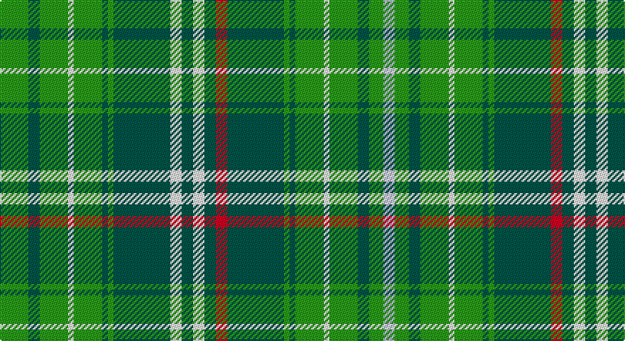 G/20 DG8 G20 W4 G20 DG4 G4 DG40 W8 DG8 W8 DG8 R8 DG40 G4 DG4 G20 W4 G20 DG8 G10 LB/8 tartan