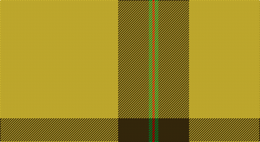 LY/200 DY52 G6 R/4 tartan