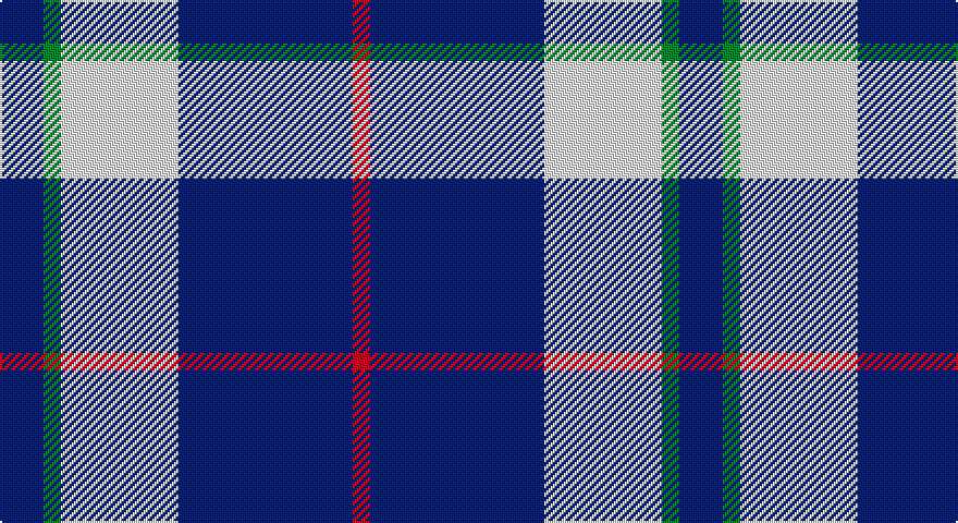 DB/20 G8 W54 DB80 R/8 tartan