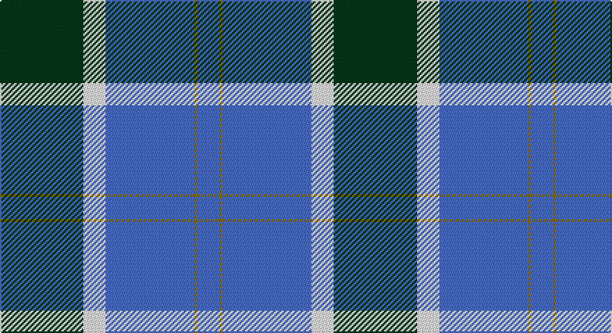 DG/60 W16 B64 Y2 B/16 tartan